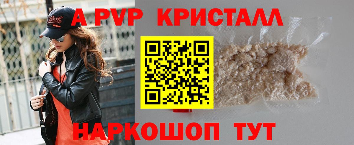 A PVP СК Новокузнецк