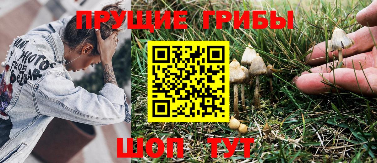 Галлюциногенные грибы GOLDEN TEACHER  Вход с VPN  Новокузнецк 
